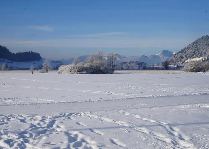 Wohlfuehlstudio Bergblick In Walchsee